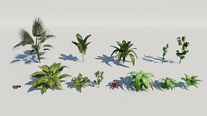 3D plant tropical model
