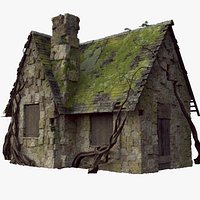 Overgrown Abandoned Stone Cottage with Vines
