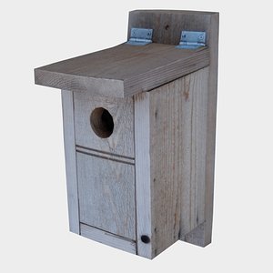 bird house model