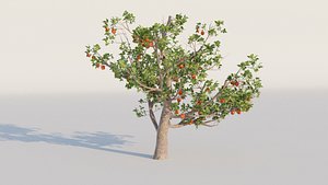 Apple tree 3D