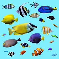 23 Aquarium fish
