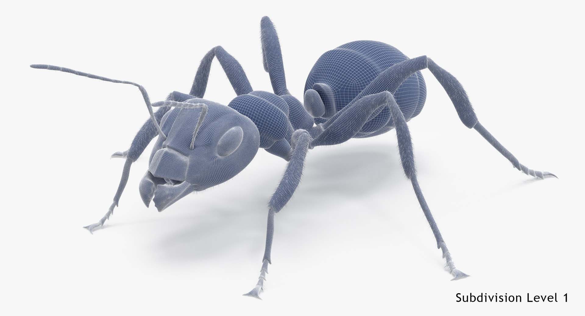 ant poses 3d model https://p.turbosquid.com/ts-thumb/IO/JRIUZE/33h8ze5P/ant_wireframe_subdiv1/jpg/1437948619/1920x1080/fit_q87/f6dfa66d532133c90c65566c2a3a7b65bc7f4727/ant_wireframe_subdiv1.jpg
