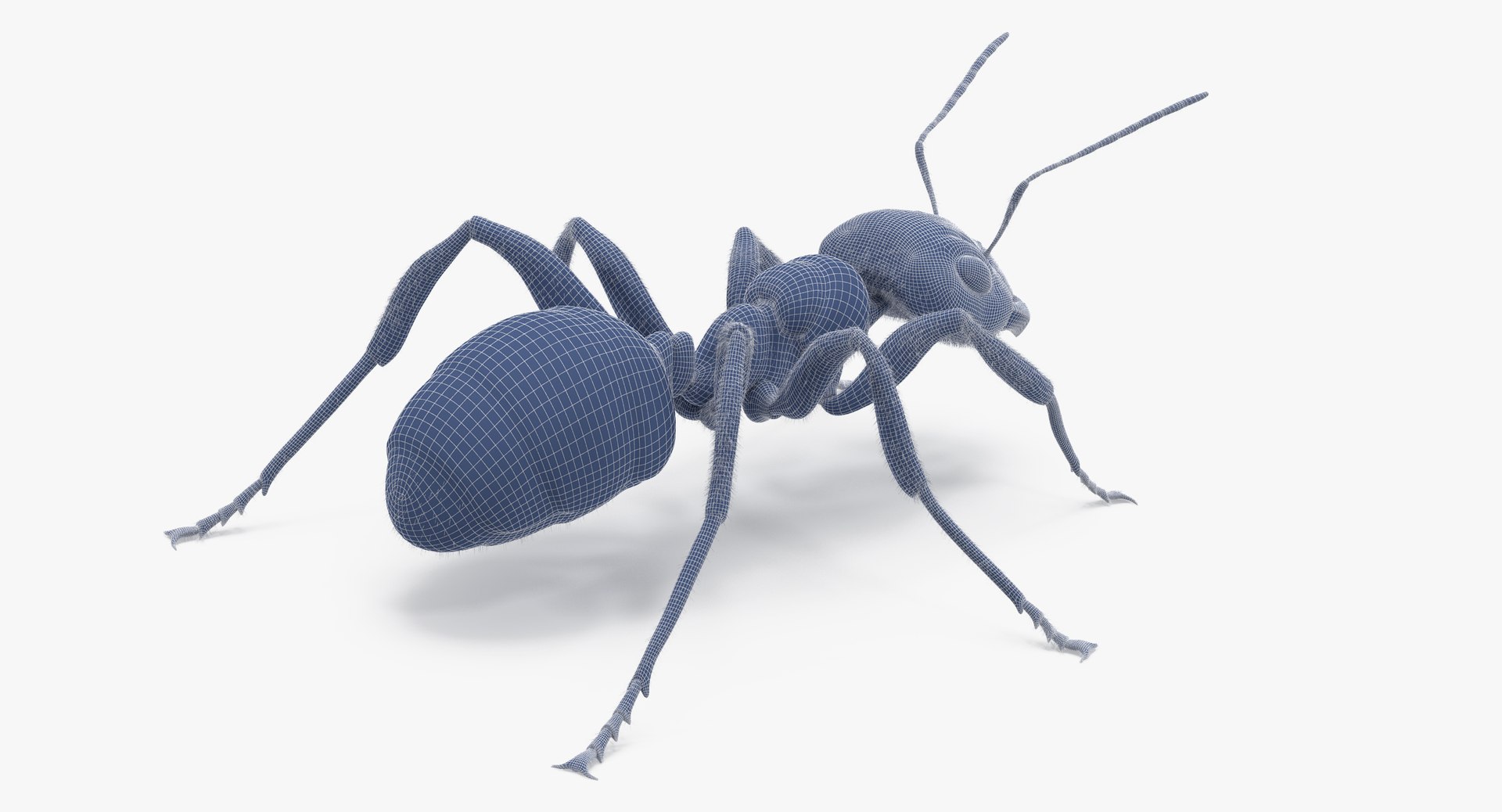 ant poses 3d model https://p.turbosquid.com/ts-thumb/IO/JRIUZE/5PJ0IBuR/ant_wireframe_0011/jpg/1437948619/1920x1080/fit_q87/b34e0f4c988eb1363572fbf5773f78534cdc6358/ant_wireframe_0011.jpg