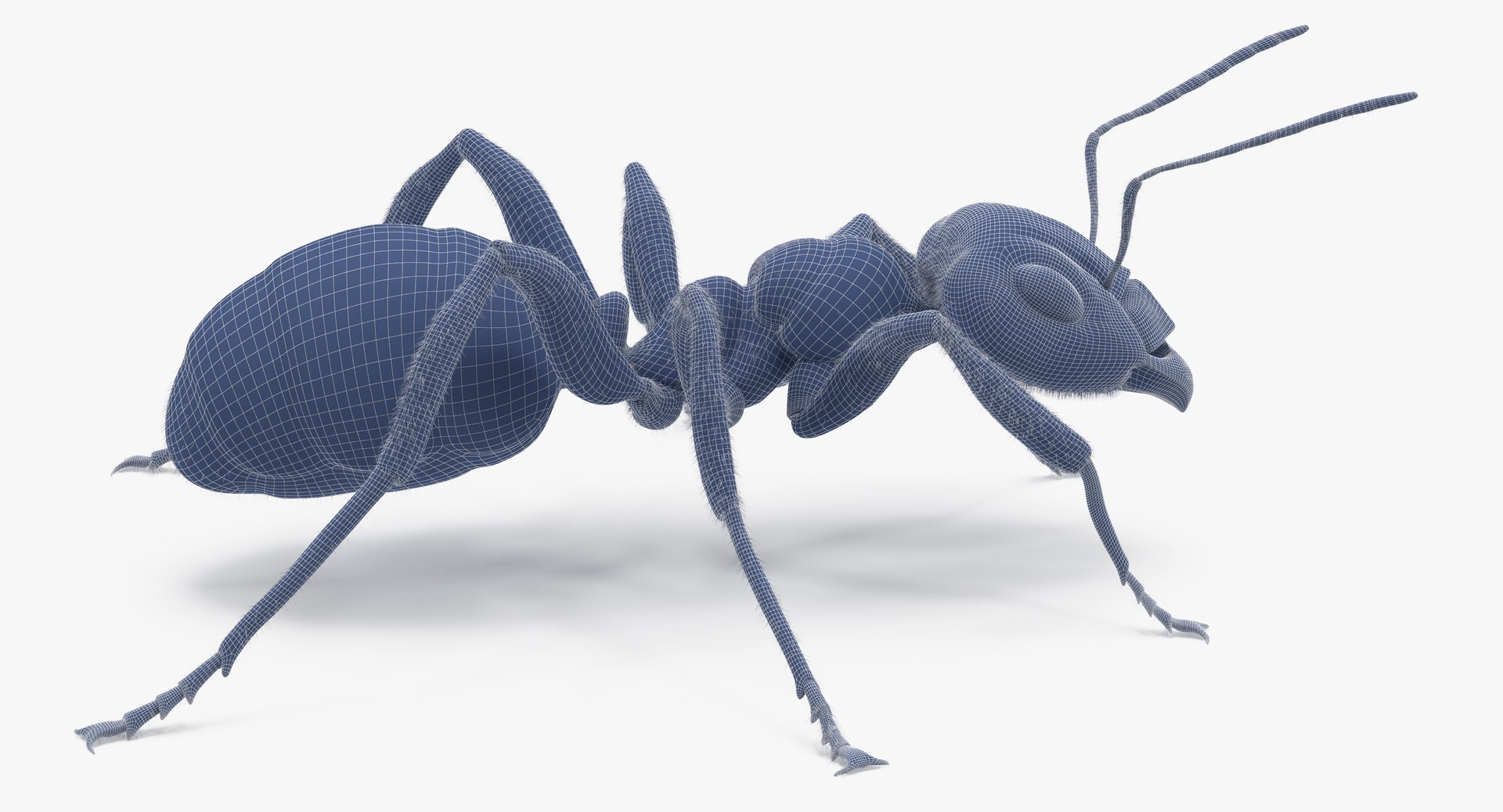 ant poses 3d model https://p.turbosquid.com/ts-thumb/IO/JRIUZE/5yYcqOvB/ant_wireframe_0004/jpg/1437948619/1920x1080/fit_q87/99193fe48d76b7db9b7b369abdcc1be9db5a5786/ant_wireframe_0004.jpg