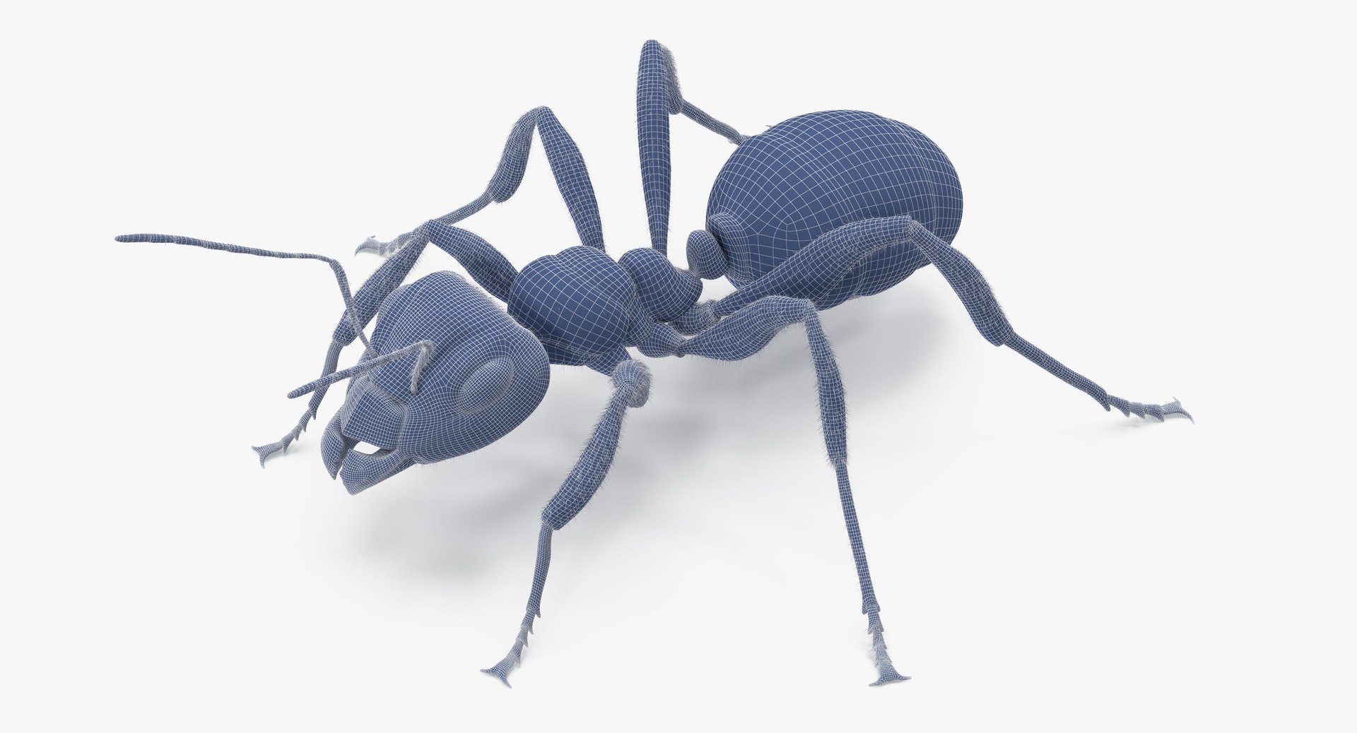 ant poses 3d model https://p.turbosquid.com/ts-thumb/IO/JRIUZE/Hfh8W9XS/ant_wireframe_0007/jpg/1437948619/1920x1080/fit_q87/85434f7f31b7c6355a7cf7af82beecb07221226f/ant_wireframe_0007.jpg