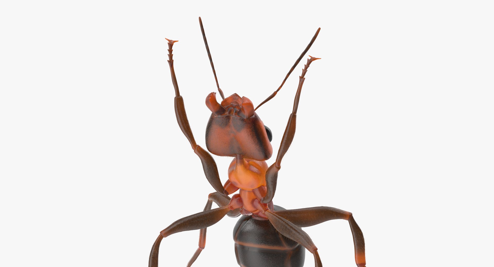 ant poses 3d model https://p.turbosquid.com/ts-thumb/IO/JRIUZE/bkByybNs/ant_holding_pose_thumbnail_0006/jpg/1458660821/1920x1080/fit_q87/71eb22053555f1024ddabb32f89dca42ab9c34d6/ant_holding_pose_thumbnail_0006.jpg