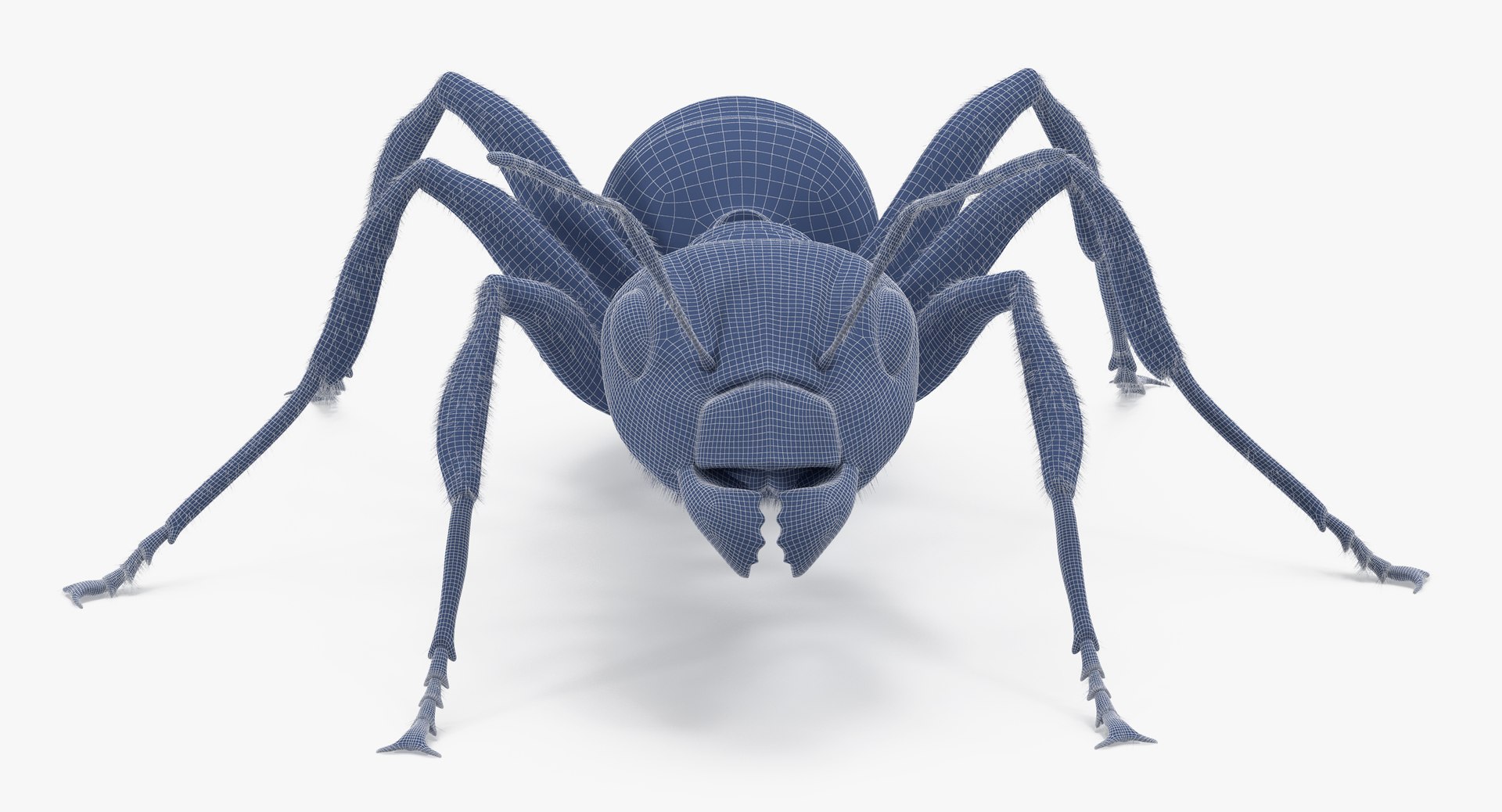 ant poses 3d model https://p.turbosquid.com/ts-thumb/IO/JRIUZE/czBZxMb8/ant_wireframe_0003/jpg/1437948619/1920x1080/fit_q87/aa74839b15f42b86fea2be86f81403e4159a97a9/ant_wireframe_0003.jpg