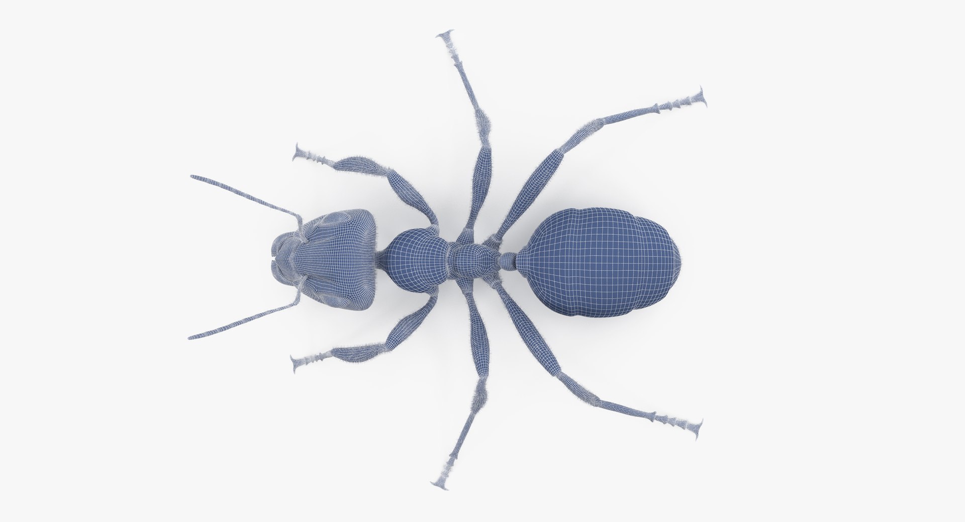 ant poses 3d model https://p.turbosquid.com/ts-thumb/IO/JRIUZE/nOh3Inw2/ant_wireframe_0008/jpg/1437948619/1920x1080/fit_q87/70e04b0ae253521b550a48861c8486cd54650dff/ant_wireframe_0008.jpg