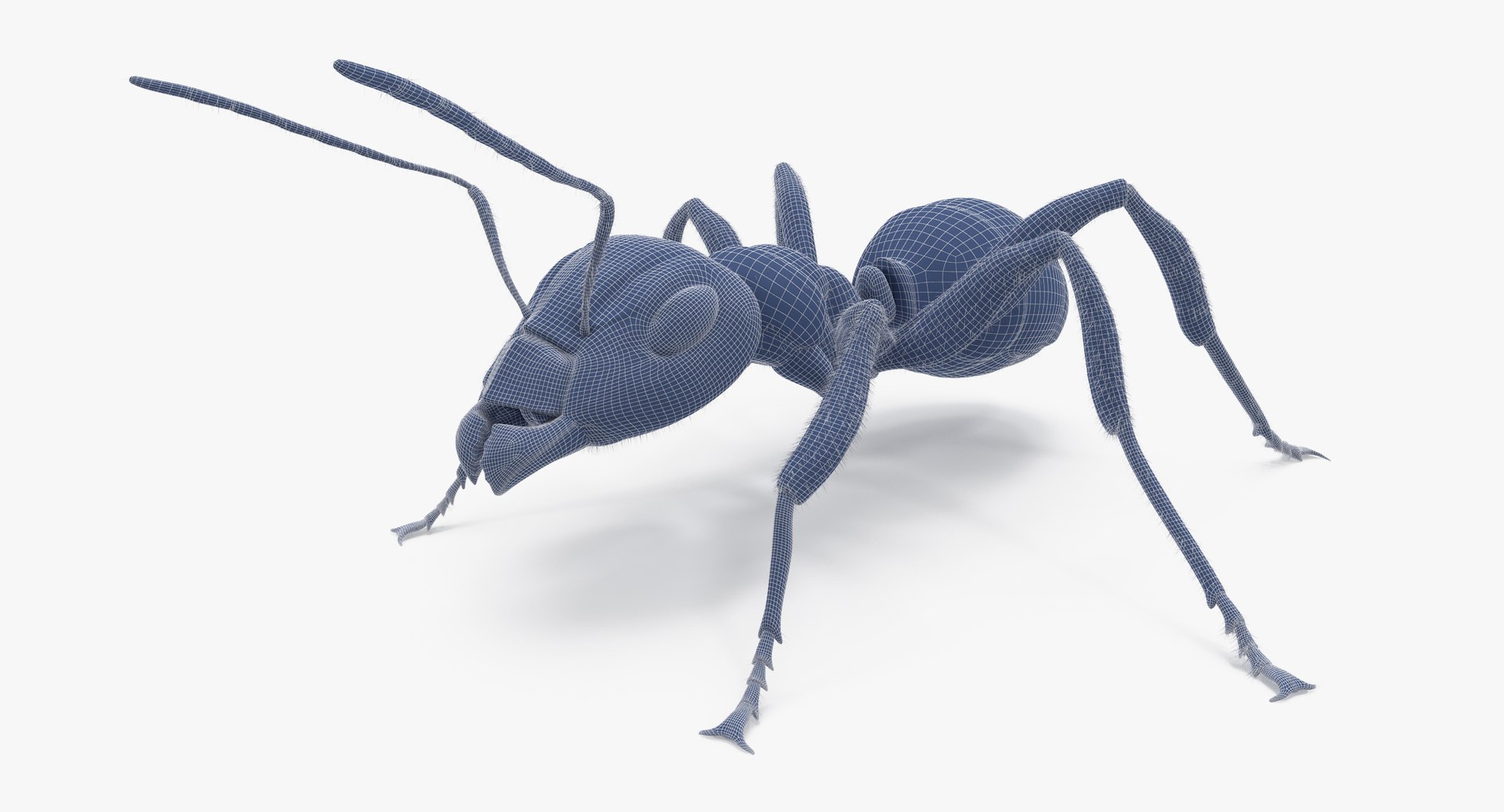 ant poses 3d model https://p.turbosquid.com/ts-thumb/IO/JRIUZE/snGOMHZf/ant_wireframe_0012/jpg/1437948619/1920x1080/fit_q87/c363b4906c2bfd95c20b285165ea92bf744baf38/ant_wireframe_0012.jpg