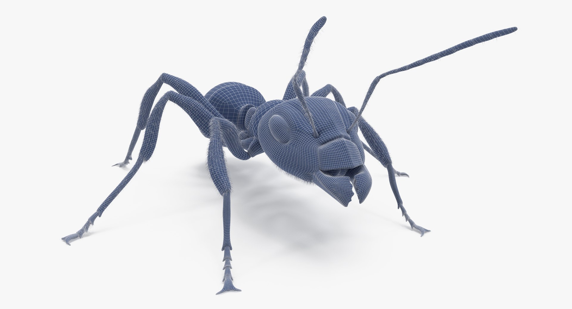 ant poses 3d model https://p.turbosquid.com/ts-thumb/IO/JRIUZE/yOIvzIRM/ant_wireframe_0013/jpg/1437948619/1920x1080/fit_q87/d1f3ffc403456a321a985b708a26aaf031f986cf/ant_wireframe_0013.jpg