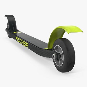 3D model skate roller skis modeled