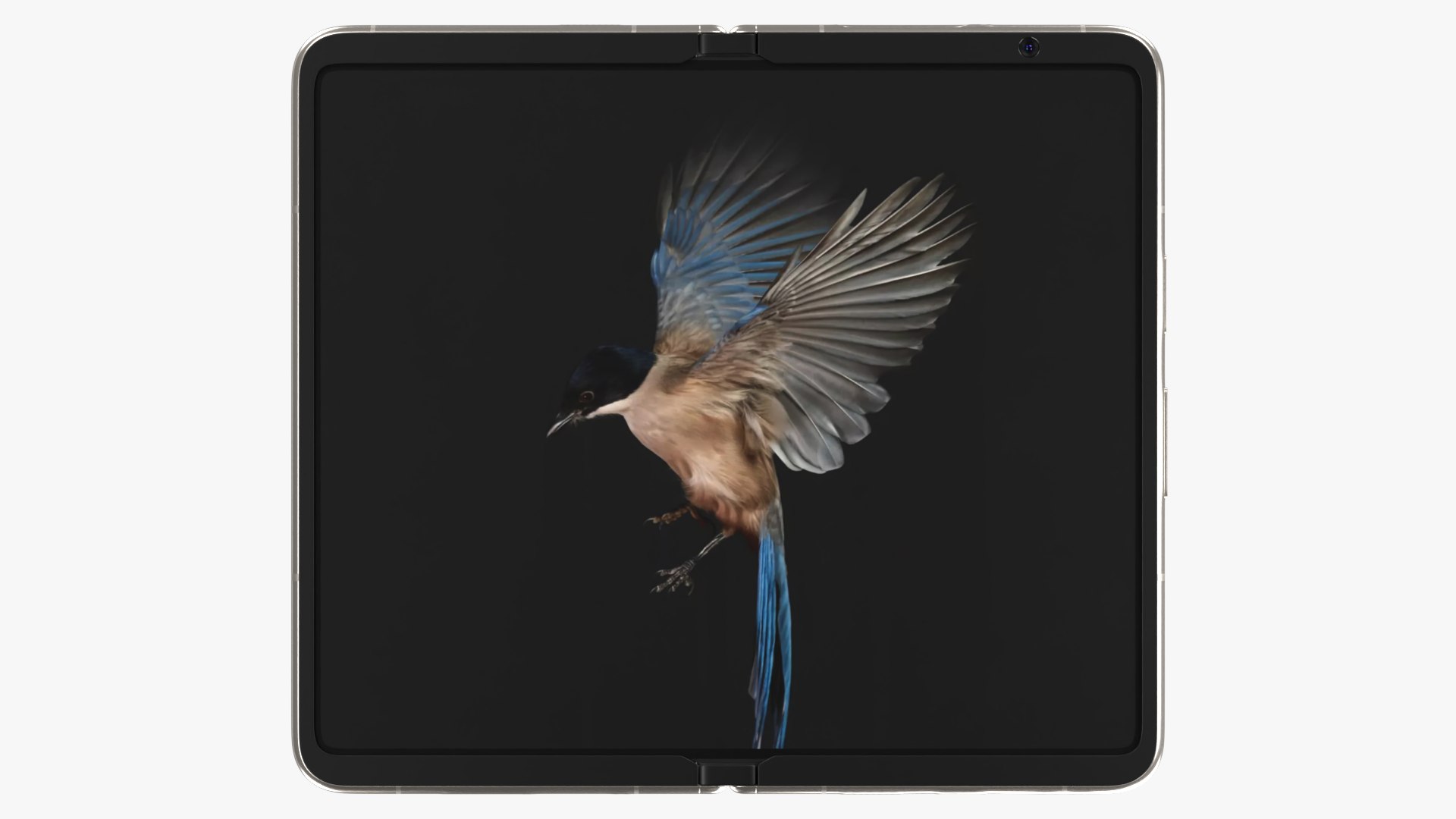 Google Pixel Fold Porcelain 3D https://p.turbosquid.com/ts-thumb/IO/ZePWxV/Hd/preview0009/png/1684603221/1920x1080/fit_q87/a52da173b4086994238b85236d23c18b1eeb86eb/preview0009.jpg