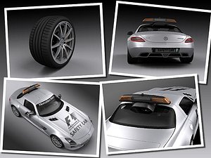 F1 2010 Safety Car