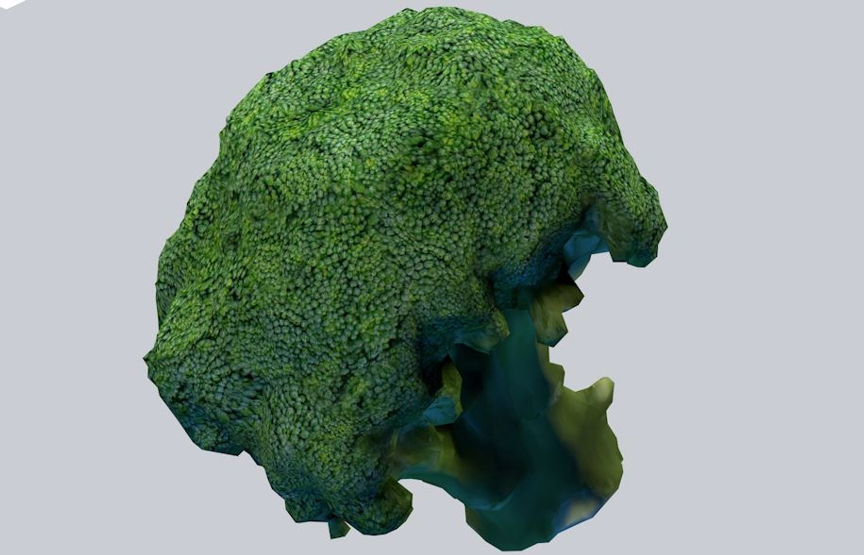 Broccoli 3D Model - TurboSquid 1426954
