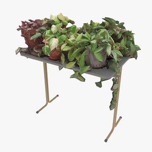 3D Pot Plants on Table model