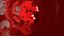 Bloodstream