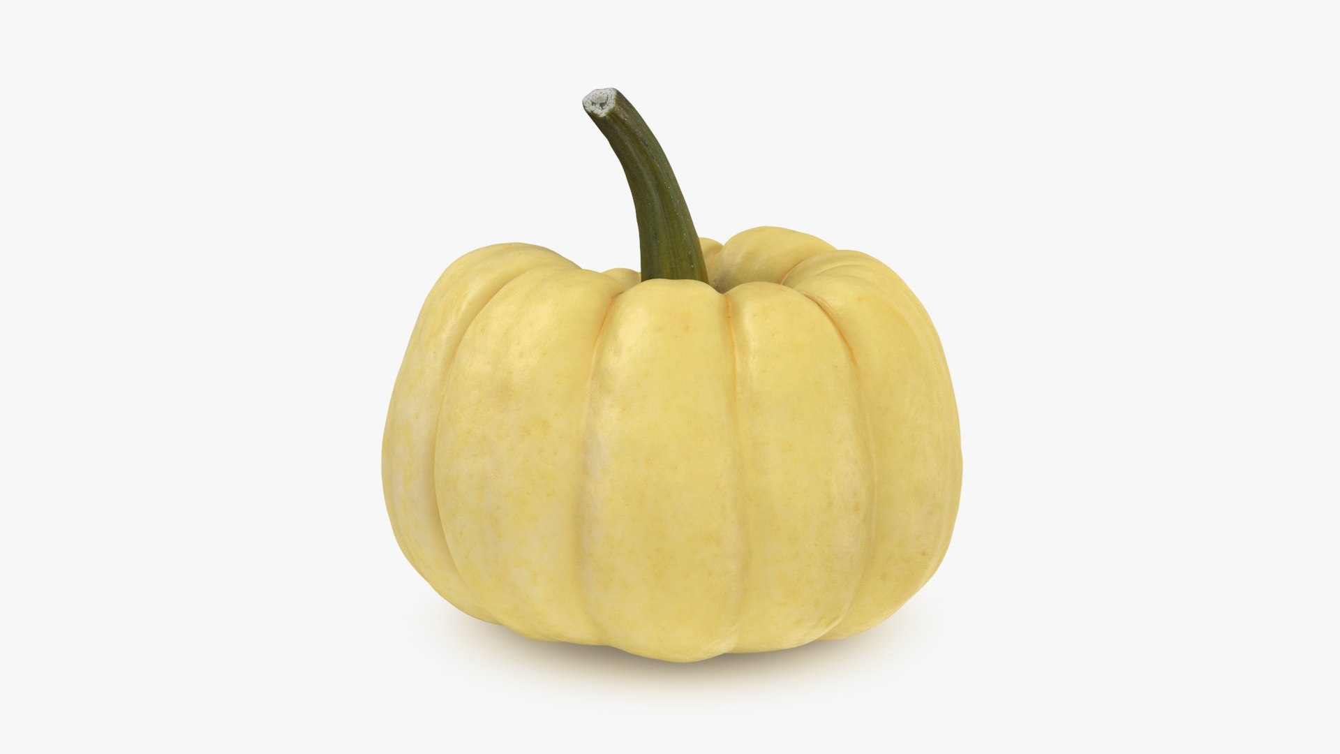 3D Pumpkin Collection 3 model https://p.turbosquid.com/ts-thumb/IP/2WUosX/YL/pumpkin_babyboo_b0000/jpg/1789211653/1920x1080/fit_q87/b5604c4becb2cd6f84adc0be75ec7494580df20a/pumpkin_babyboo_b0000.jpg