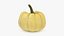 Pumpkin Collection 3