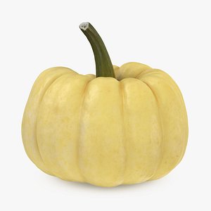 Pumpkin Baby Boo 3D model