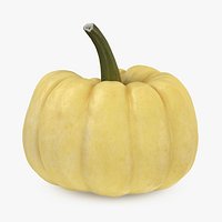 Pumpkin Baby Boo