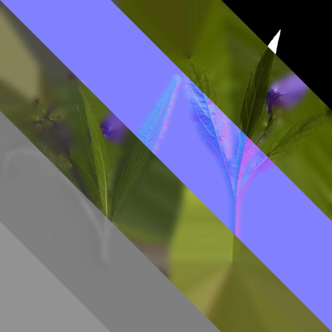 3D Anydrafts Ruellia Simplex Atlas 04 Textures - TurboSquid 2358479