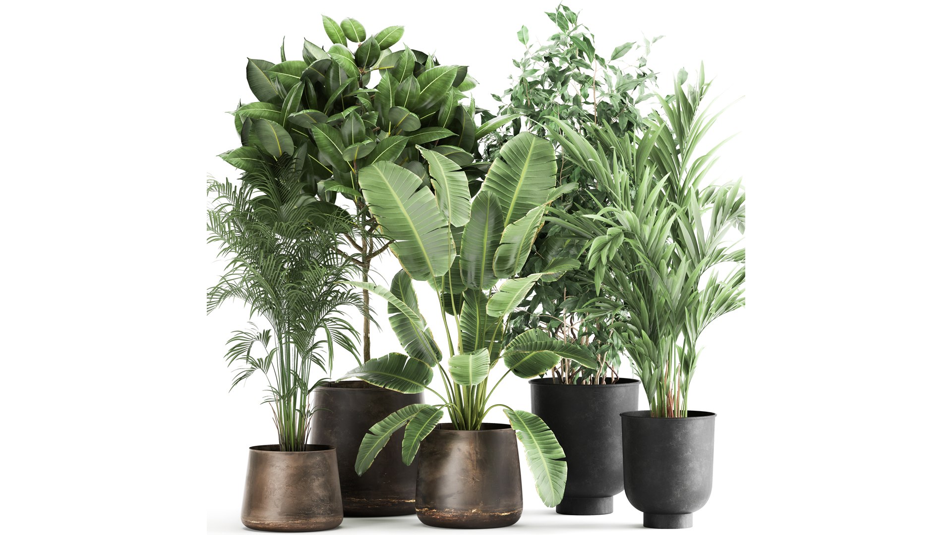 Houseplants in a rust flowerpot for the interior 978 3D model https://p.turbosquid.com/ts-thumb/IP/CgsHzf/3Y/1plants1905202101/jpg/1621510210/1920x1080/fit_q87/13b53d4381196d4d80e36cec12507a9819500512/1plants1905202101.jpg