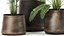 Комнатные растения в горшке из ржавчины для интерьера 978