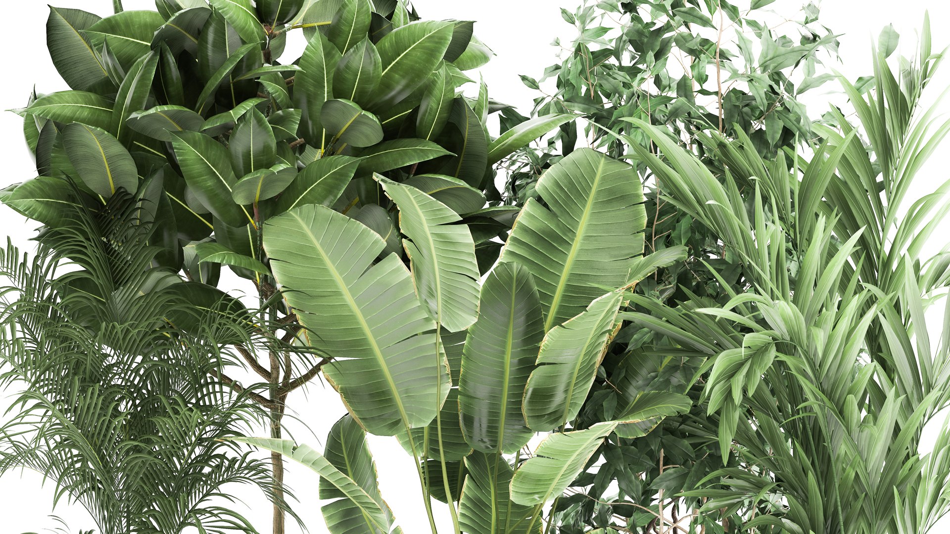 Houseplants in a rust flowerpot for the interior 978 3D model https://p.turbosquid.com/ts-thumb/IP/CgsHzf/cX/1plants1905202103/jpg/1621509843/1920x1080/fit_q87/9b48dfe90dce1ad46dfbadc7014621330df0493d/1plants1905202103.jpg