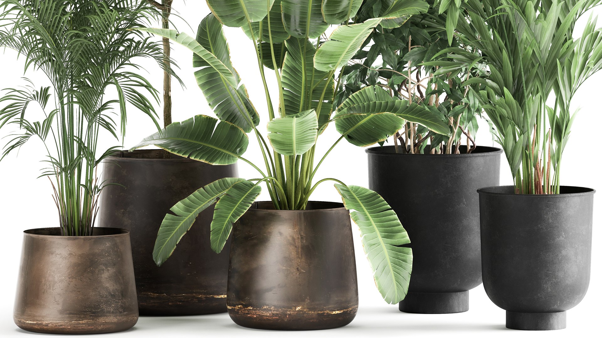 Houseplants in a rust flowerpot for the interior 978 3D model https://p.turbosquid.com/ts-thumb/IP/CgsHzf/qj/1plants1905202104/jpg/1621509836/1920x1080/fit_q87/b7fe914d100202d3fb1c71ad7561b922ab4147d6/1plants1905202104.jpg