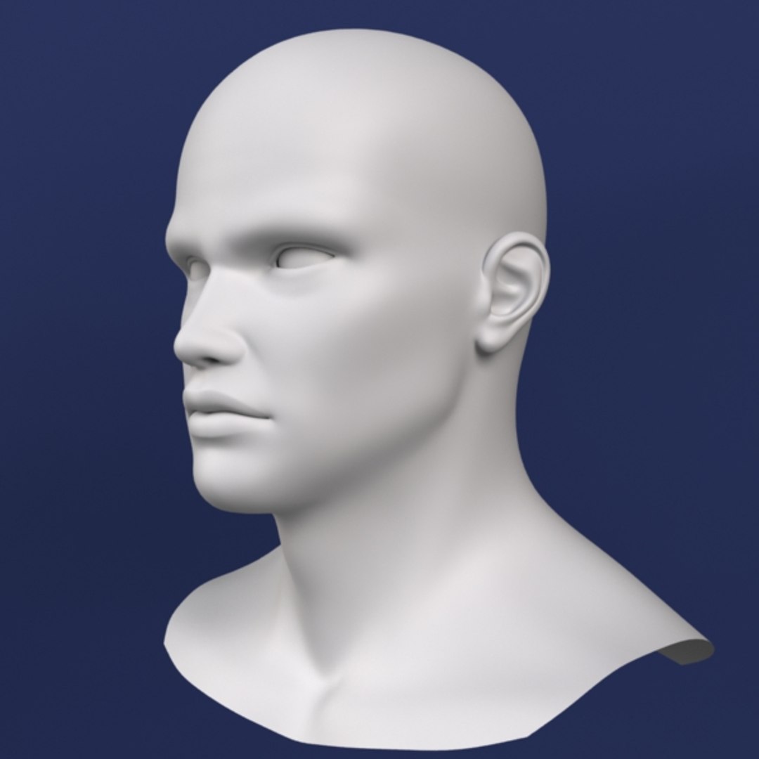 3d Male Head Model