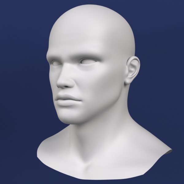 3d male head model