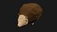 Lowpoly Hedgehog