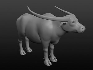 Asian buffalo