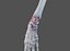 Wrist Joint Ligaments