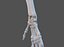 Wrist Joint Ligaments