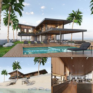 Contemporary Beach Villa Exterior and Interior
