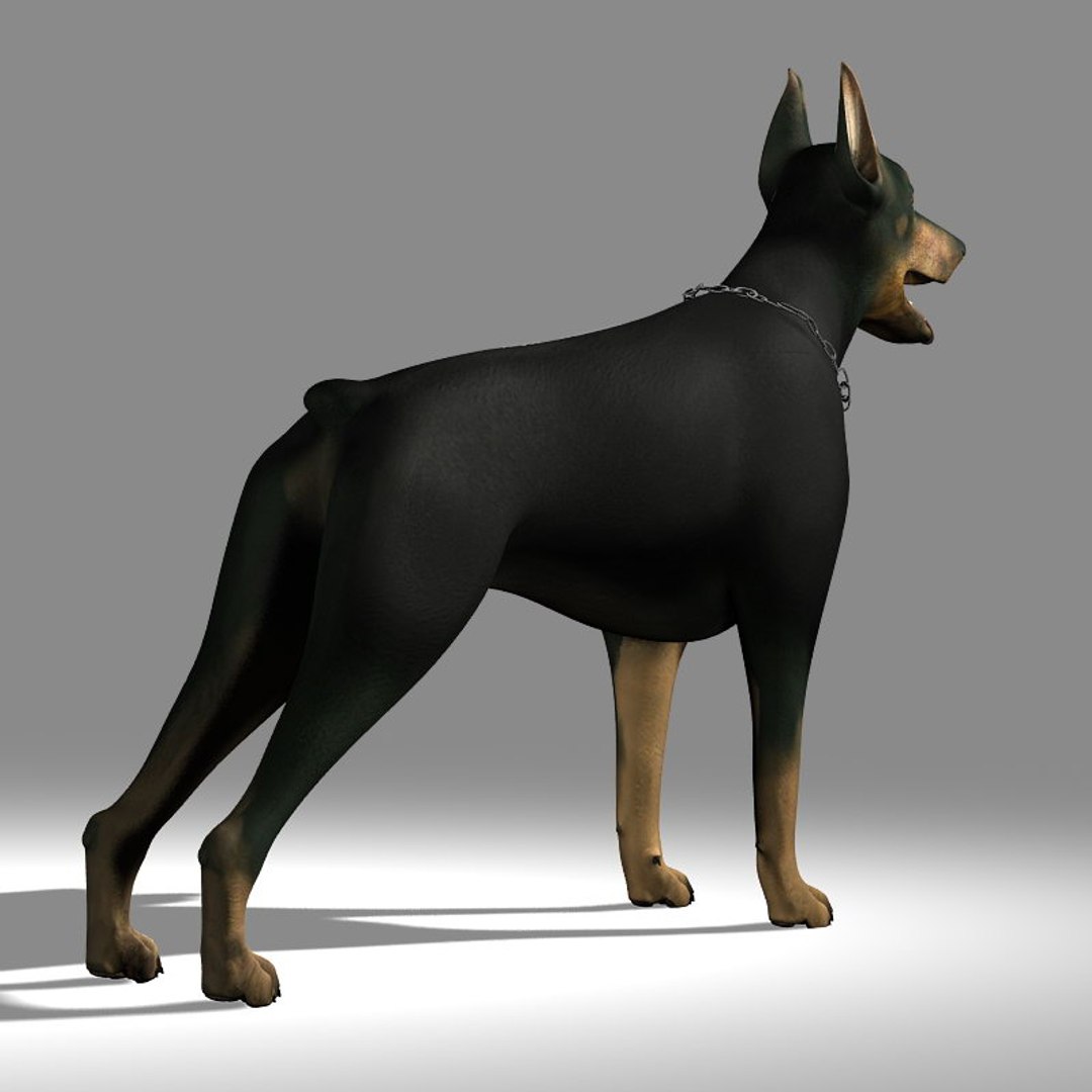 Obj Doberman Dobermann