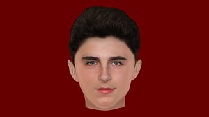 3D Timothee Chalamet Head - Low poly head for game Low-poly model