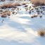 Snowy biome 02