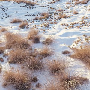 3D Snowy biome 02 model