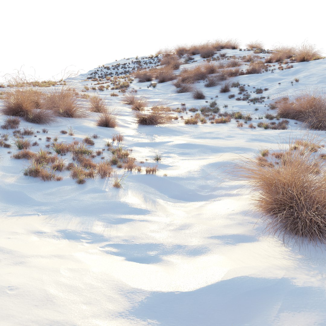 3D Snowy biome 02 model https://p.turbosquid.com/ts-thumb/IP/og4yRN/OD/preview3fp/jpg/1747973817/1920x1080/fit_q87/1661813a686a983b5e63cf544f73aea26ab52977/preview3fp.jpg
