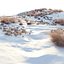 Snowy biome 02