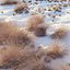 Snowy biome 02