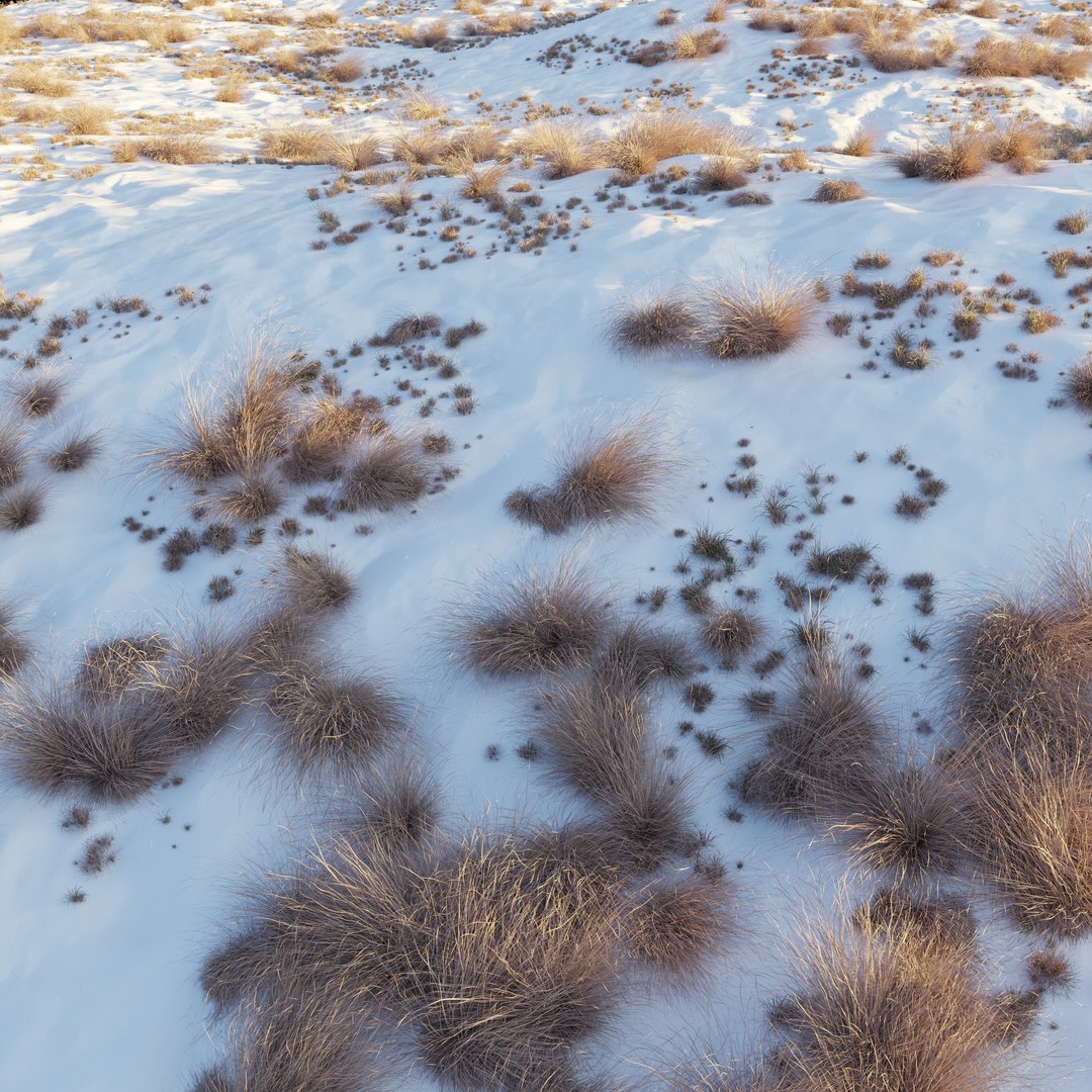 3D Snowy biome 02 model https://p.turbosquid.com/ts-thumb/IP/og4yRN/z7/preview11fp/jpg/1747973814/1920x1080/fit_q87/ff0d55fc7af68fdd065a855e1e01faaeadae0d78/preview11fp.jpg