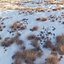 Snowy biome 02