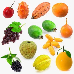 Fruits Collection 13 3D model
