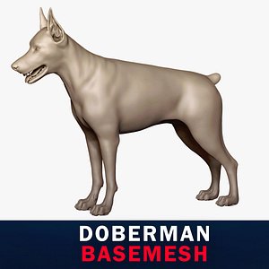 3D Doberman Base Mesh 3D model