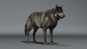 3d wolf fur