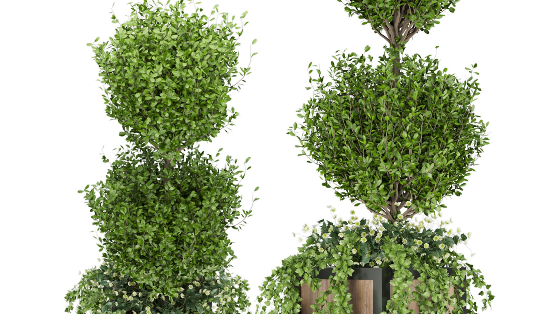 3D Collection plant vol 41 https://p.turbosquid.com/ts-thumb/IQ/1eO8s3/JP/5/jpg/1647166792/1920x1080/fit_q87/2625d7e67bca6baea182ff0a1c8de7aaaca7dc57/5.jpg