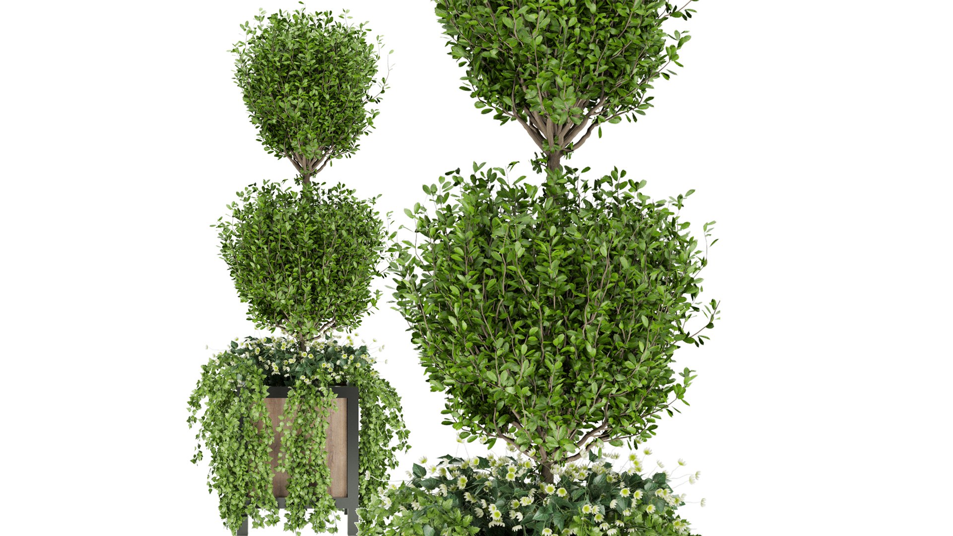 3D Collection plant vol 41 https://p.turbosquid.com/ts-thumb/IQ/1eO8s3/Px/3/jpg/1647166528/1920x1080/fit_q87/c73004834b6ca50f64653b0f2fb20bc4b69be3bf/3.jpg